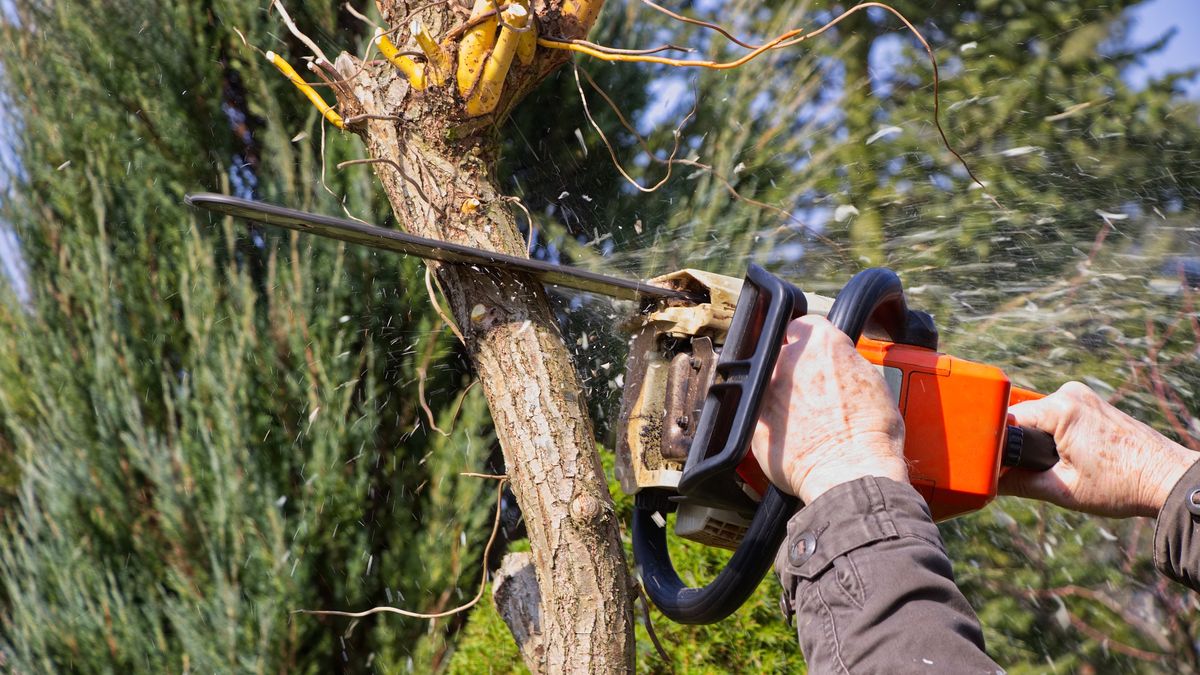 Tragiczny wypadek podczas prac ogrodowych w woj. świętokrzyskim 