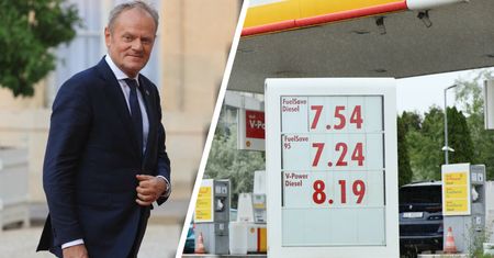 Tusk obiecywał benzynę po 5,19 zł. Już znaleźli winnego. "Nieprzewidywalny"