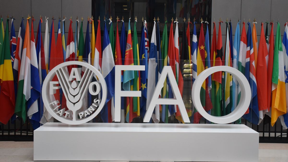 ROME, ITALY - NOVEMBER 16: An interior view of the Headquarters of the United Nations (UN) Food and Agriculture Organization (FAO) in Rome, Italy on November 16, 2022. (Photo by Baris Seckin/Anadolu Agency via Getty Images)