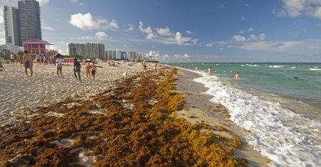 Ogromny problem na plażach. To może odstraszyć turystów