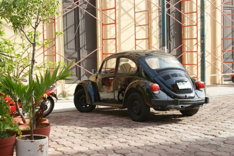VW Beetle