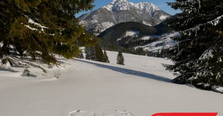 W Polsce jest zima. Zobacz gdzie