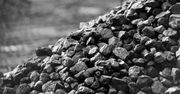 Tona węgla tańsza o 200 zł. Wyjątkowa okazja w sklepie PGG