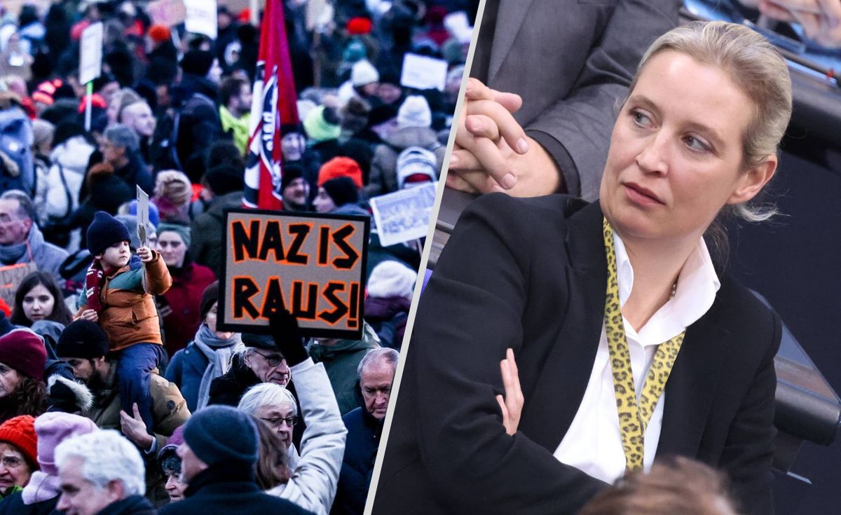 Protesty w Niemczech przeciw AfD / Alice Weidel