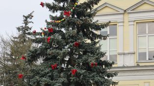 Wielkopolska: Wybieramy najpiękniejszą choinkę. Która najlepsza?