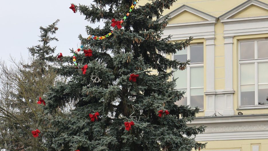 Choinka w Nowym Tomyślu