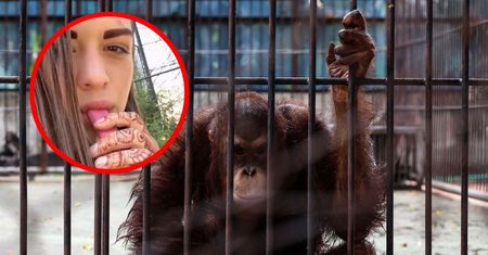 Rosjanka poszła do zoo i wywołała skandal. Jej zachowanie szokuje