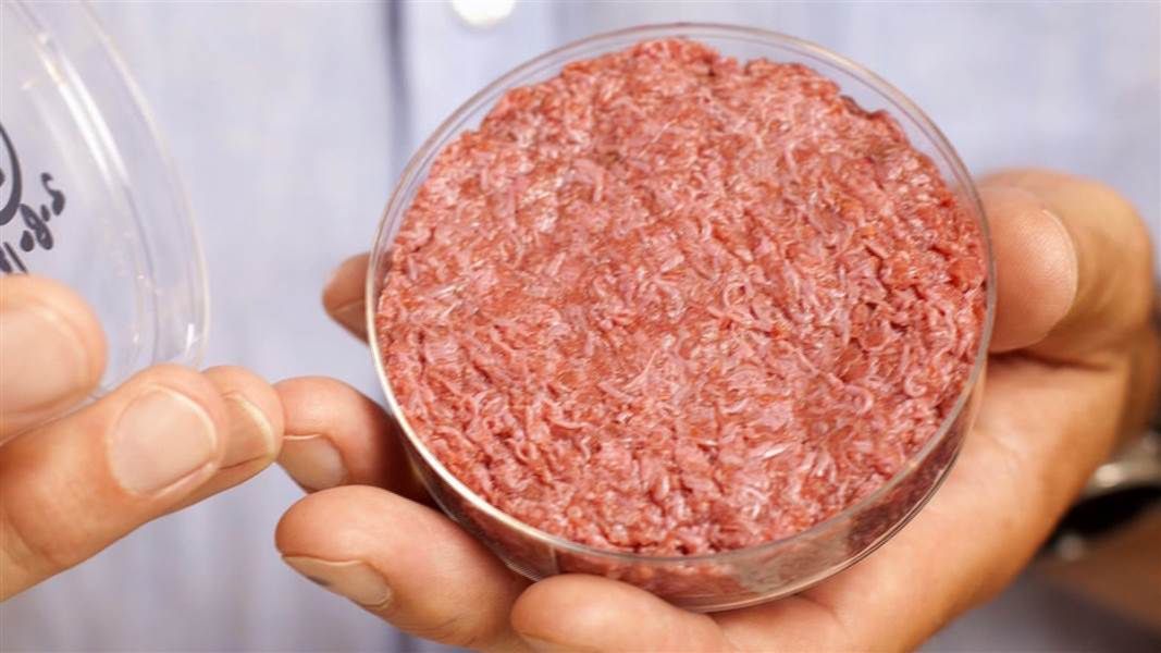Hamburger z laboratoryjnego mięsa