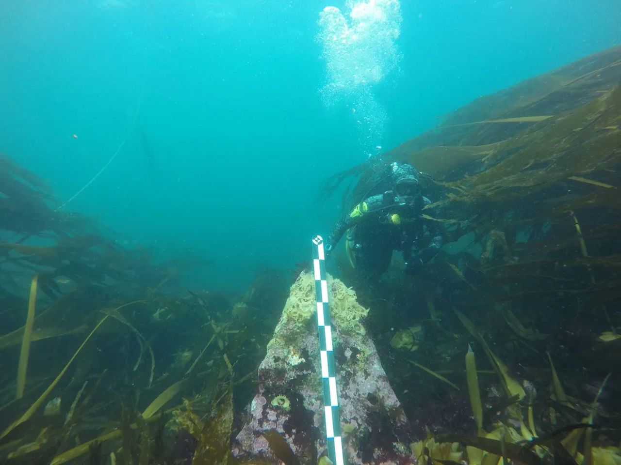 Znaleźli go na dnie Atlantyku. Nie znalazł się tam przypadkowo