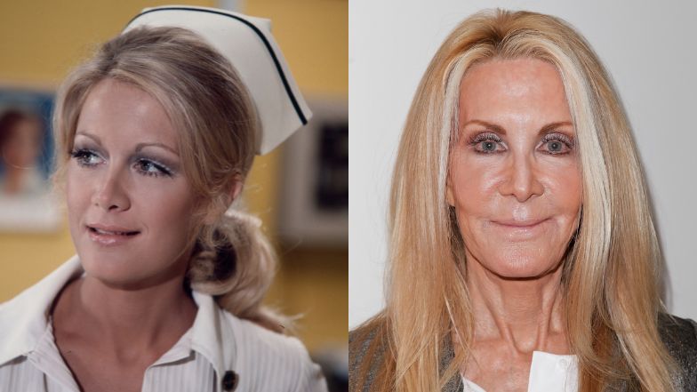 Joan Van Ark 
