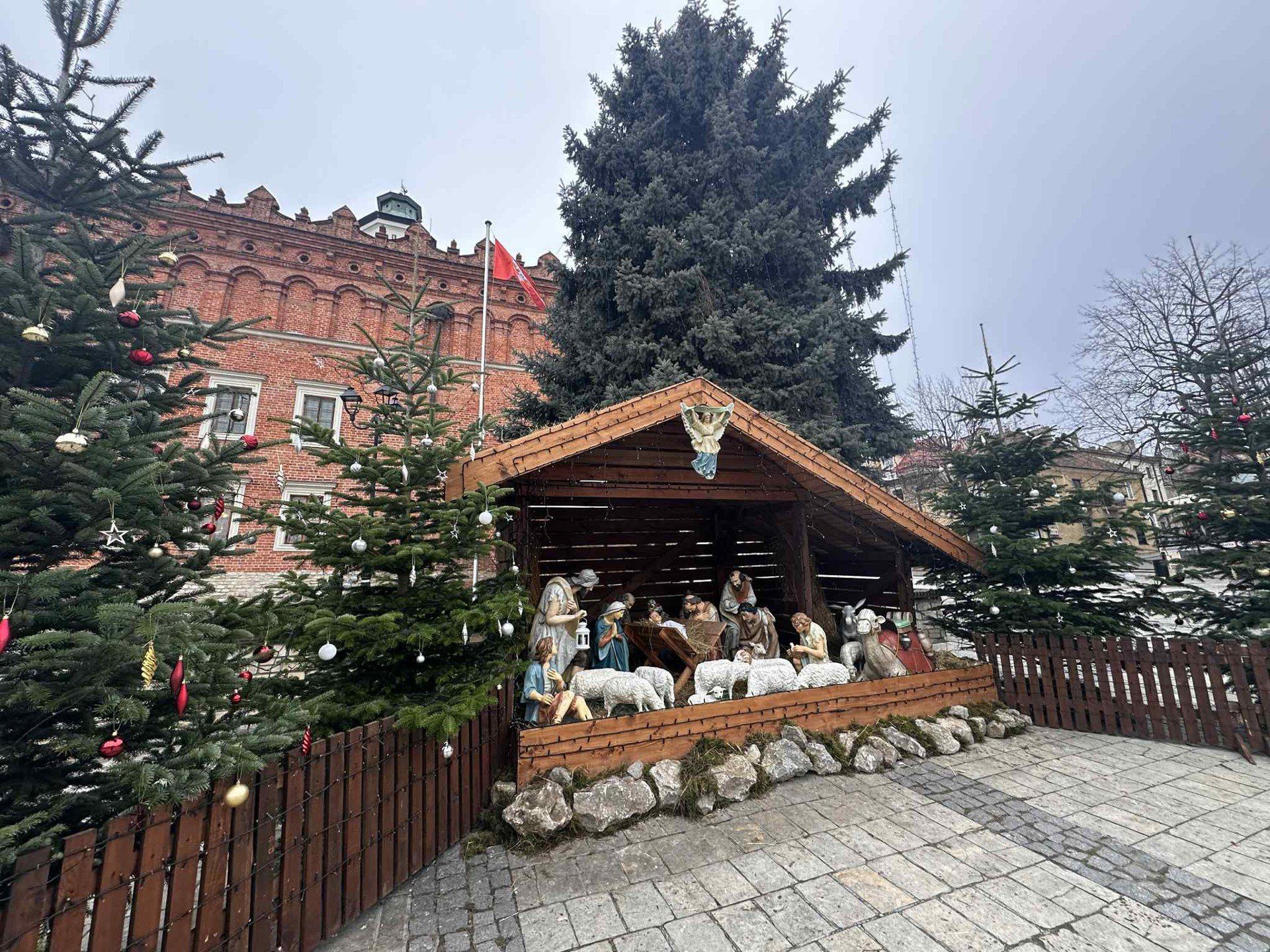 Jak co roku na staromiejskim Rynku stanęła przepiękna szopka z figurami pasterzy i świętej rodziny.