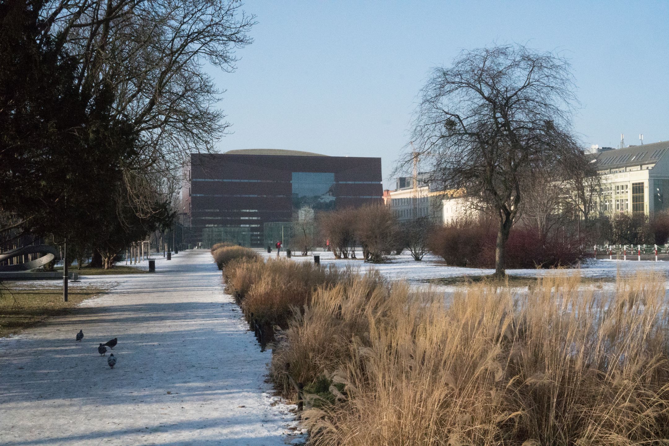 Sony A6500 - topowy bezlusterkowiec pełen sprzeczności [test] 100