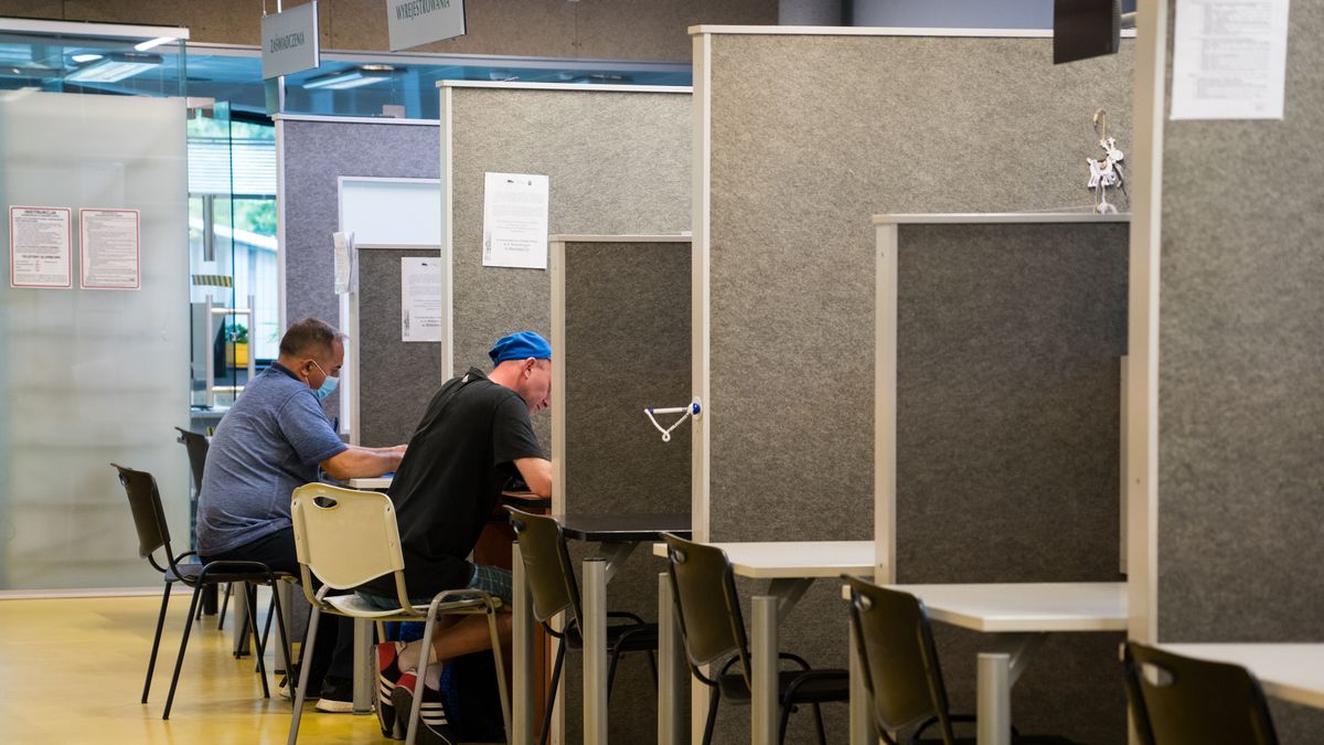 Spada zatrudnienie. Eksperci alarmują, że będzie jeszcze gorzej