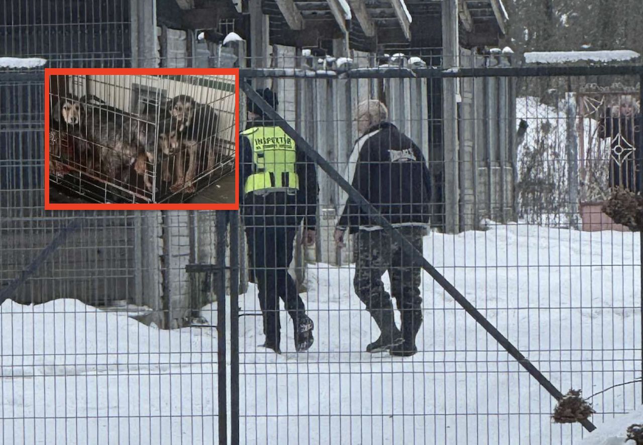 MSWiA zdecydowało. Schronisko w Sobolewie zamknięte