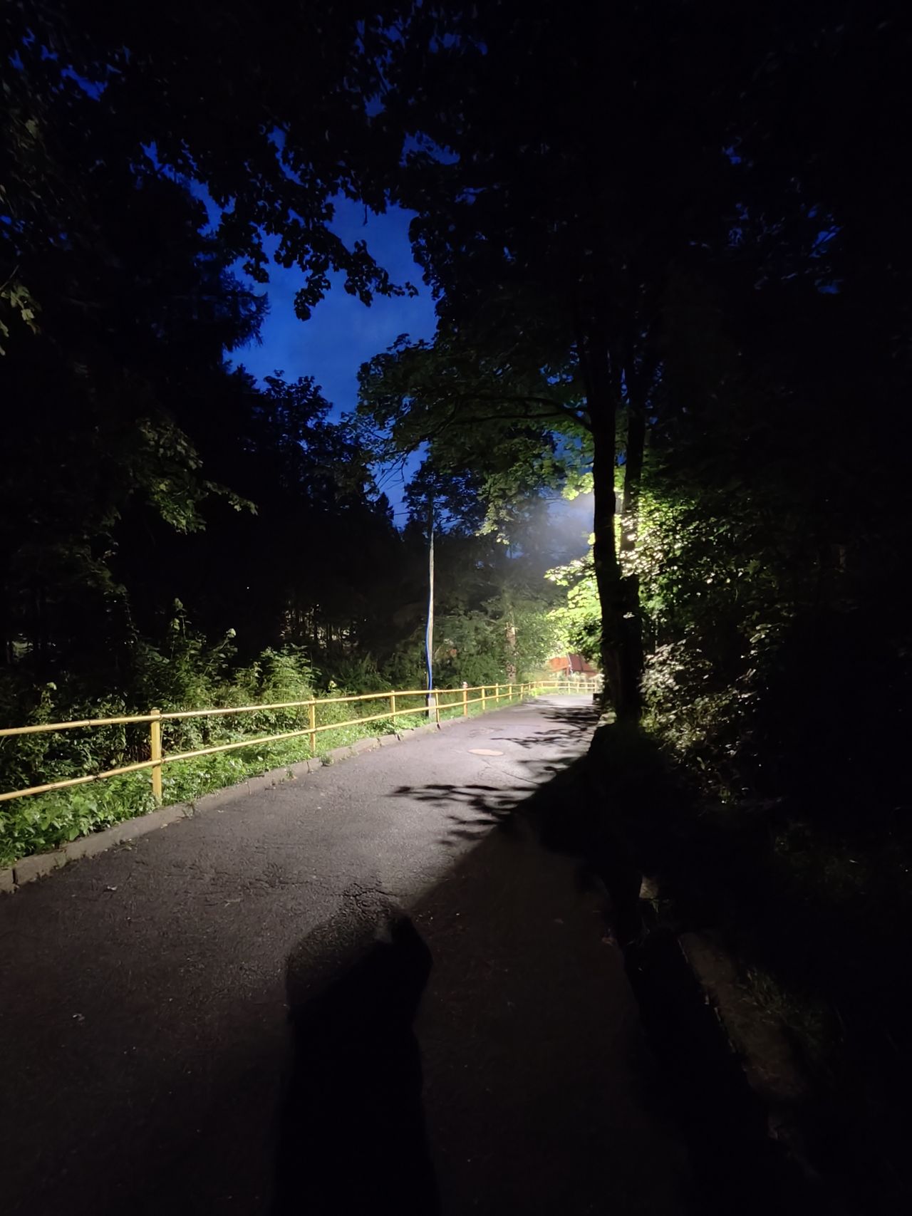 Ultraszeroki kąt i standardowy kąt widzenia nocą