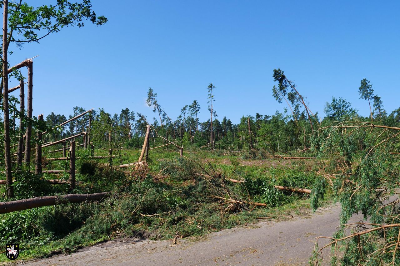 Liczą straty po nawałnicy. Ogrom zniszczeń pod Sycowem