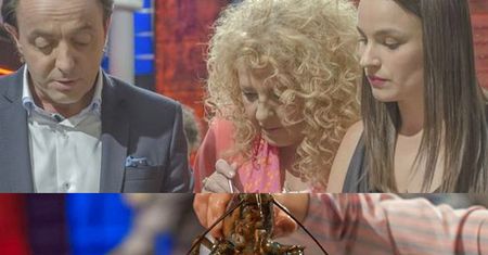 Skandal w "MasterChef"? Ugotowano ŻYWEGO HOMARA!