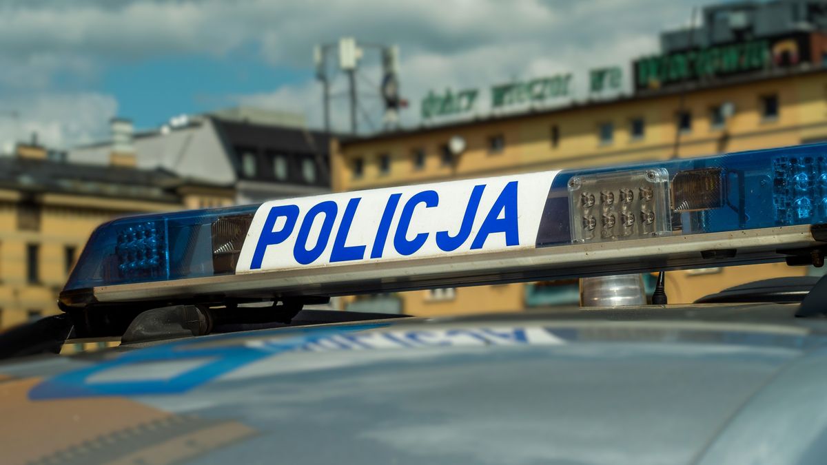 fot. poglądowa