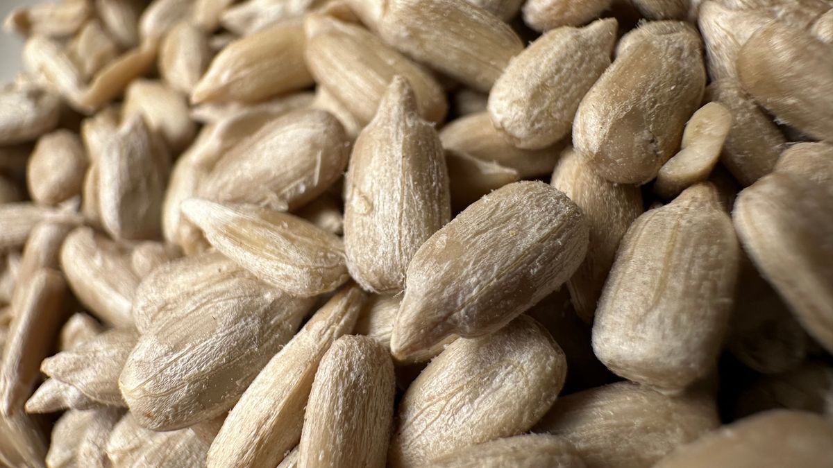 Nasiona słonecznika