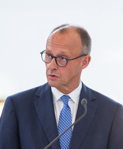 "To oczywiste". Kanclerz Niemiec o spotkaniu Zełenskiego i Putina