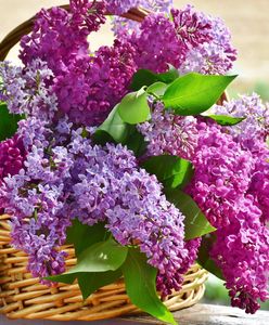 W środę Dzień Matki. Nie zapomnij o życzeniach dla swojej mamy na 26 maja