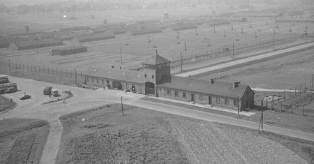Wyciągnęła swojego męża z Auschwitz. "Słała pismo za pismem, nawet do Hitlera"