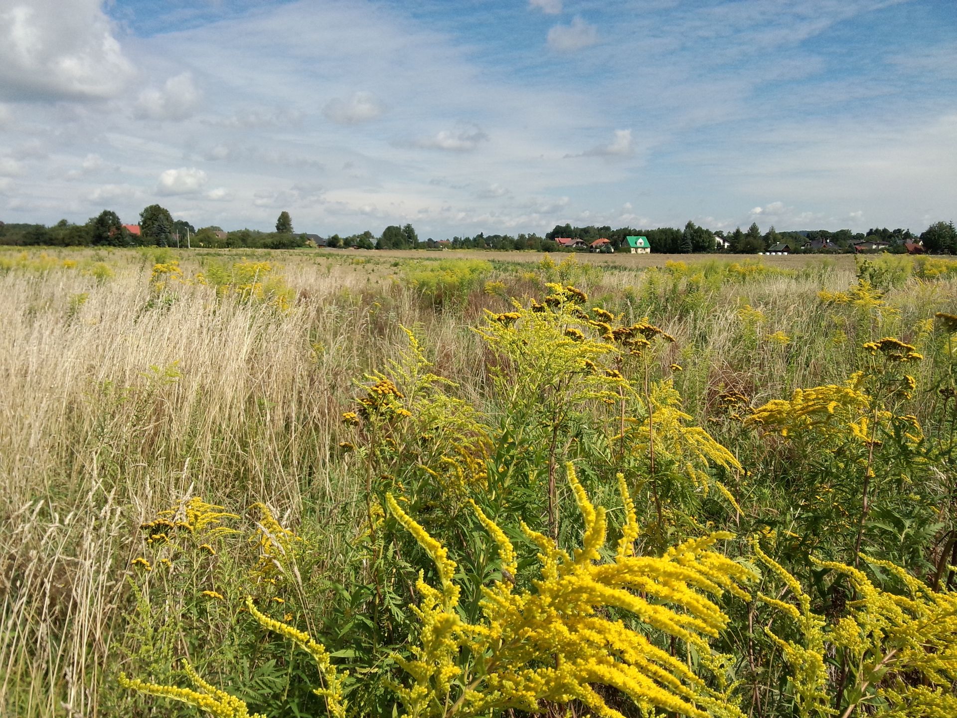 Meizu MX3 - chińskie cacko w Europie [test] 14