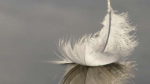 Które komunikatory pożerają najmniej zasobów systemowych? 1