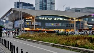 Łoś w rejonie stacji Warszawa Centralna. PKP PLK: "Utrudnienia trwały łosiemdziesiąt minut"