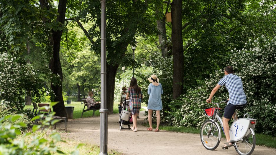 Wrocław. Poszli tłumnie na wybory 2020. W nagrodę otrzymają drzewa