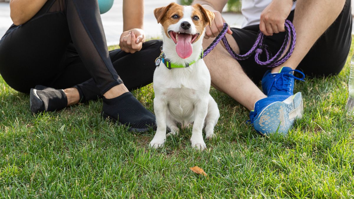 Propozycje 'bykowego' w Sejmie. O tyle spadłyby pensje bezdzietn