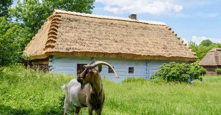 Nie wydasz ani złotówki! Darmowe zwiedzanie muzeów w Lublinie [21–25 lipca]
