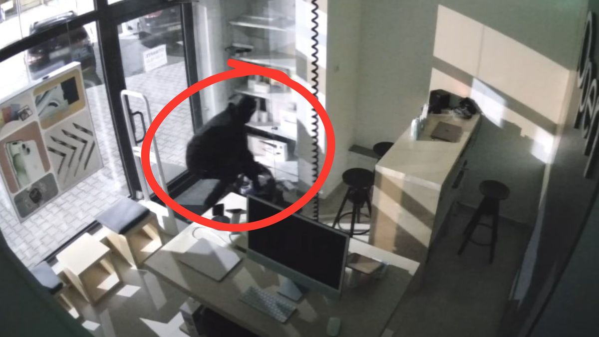 Bezczelna kradzież w Nowym Sączu. Straty na 65 tys. zł