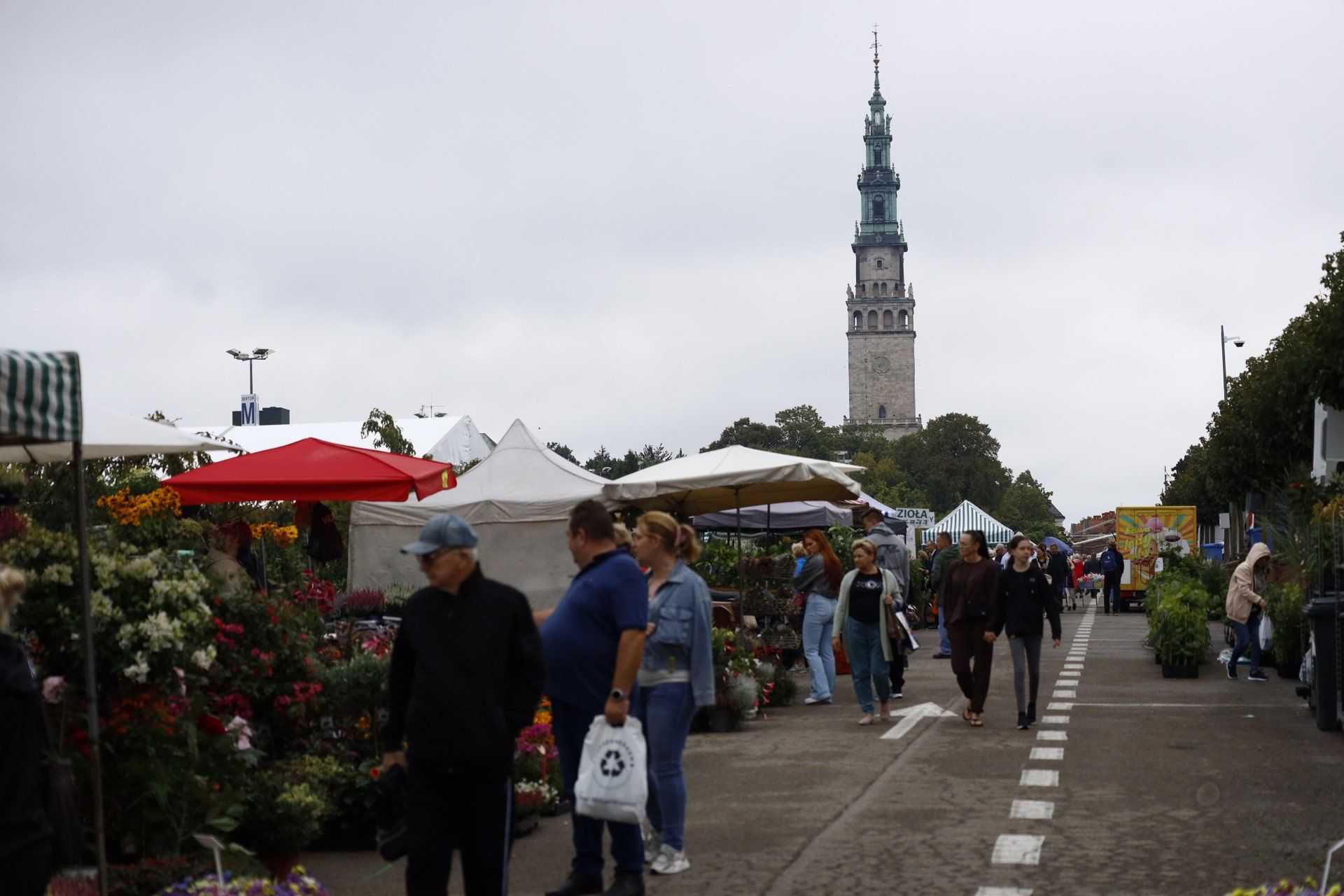 Stoiska ogrodnicze pełne inspiracji dla domu i ogrodu