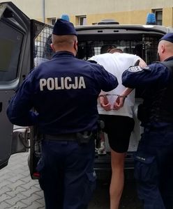 Środa Śląska. Groził policjantom pozbawieniem życia. Grozi mu do 3 lat więzienia