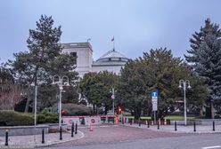 Zakaz hodowli zwierząt na futra. Jest zgoda komisji