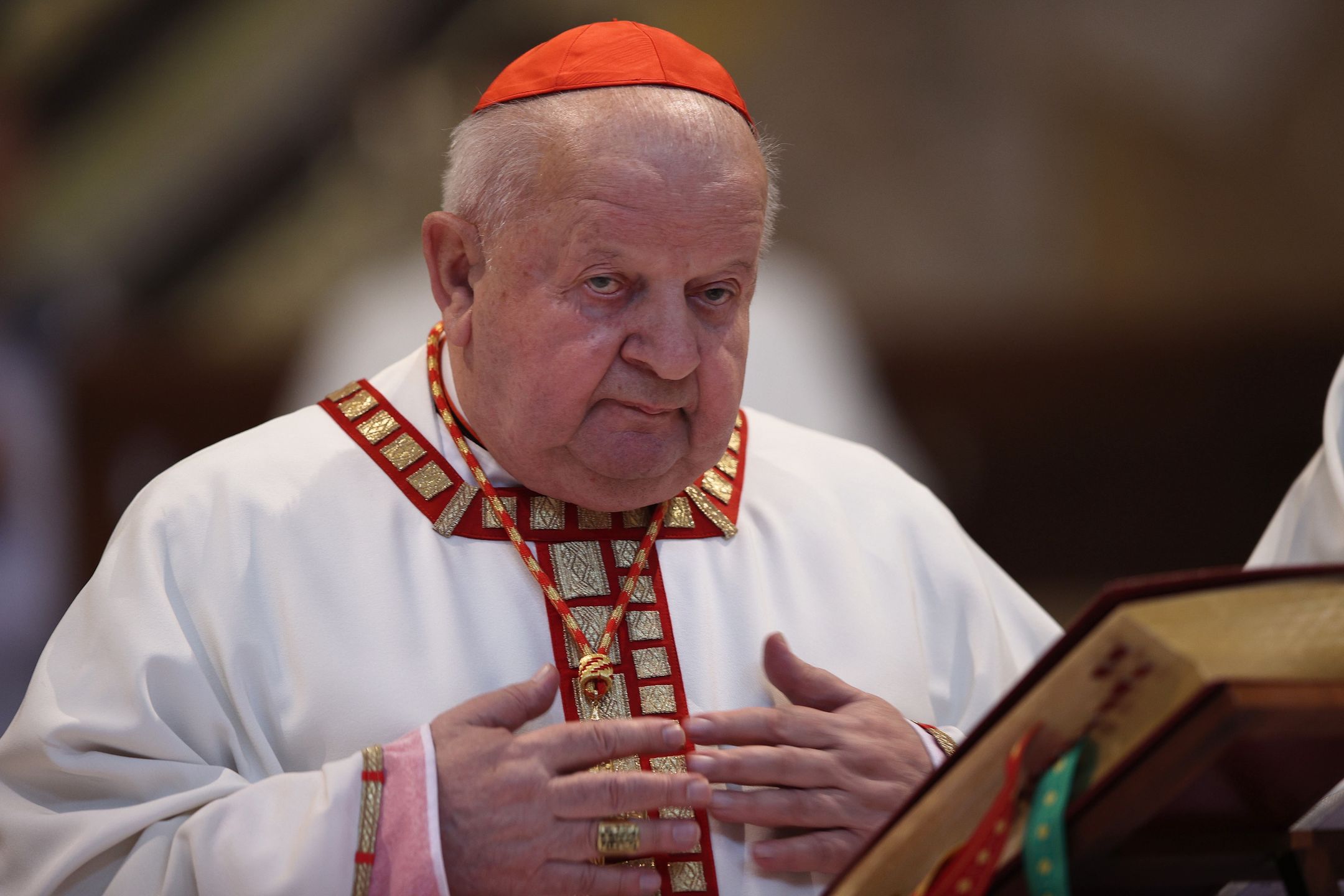 Kard. Stanisław Dziwisz