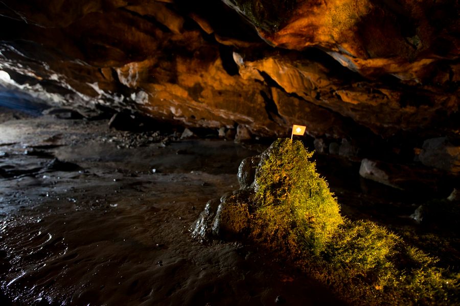 © Tomasz Woźny / National Geographic Polska