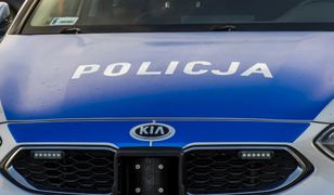 Tragedia na Pomorzu. Znaleziono ciało noworodka