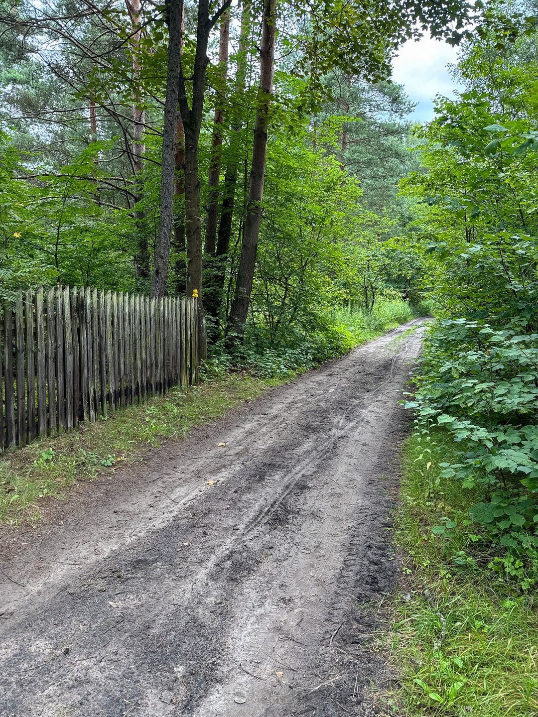 Taka droga prowadzi do Piernikarki