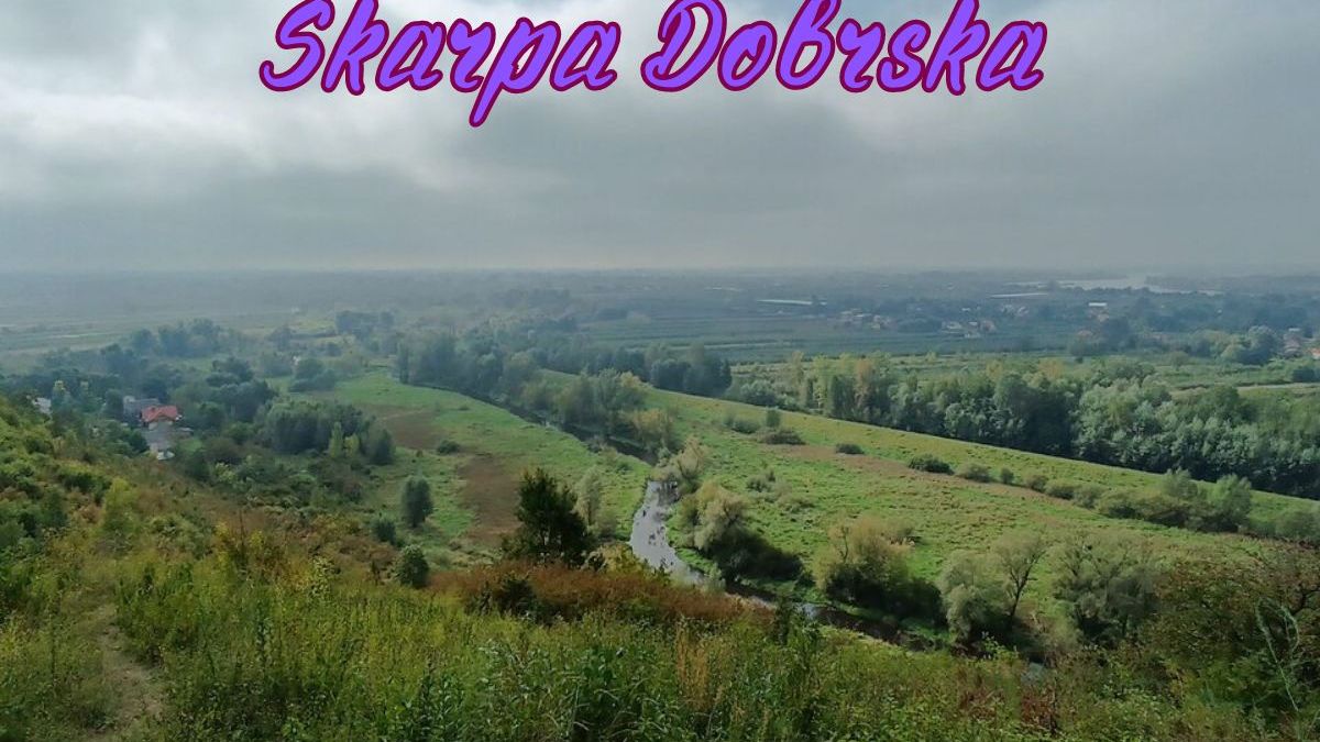 Rezerwat Przyrody Skarpa Dobrska