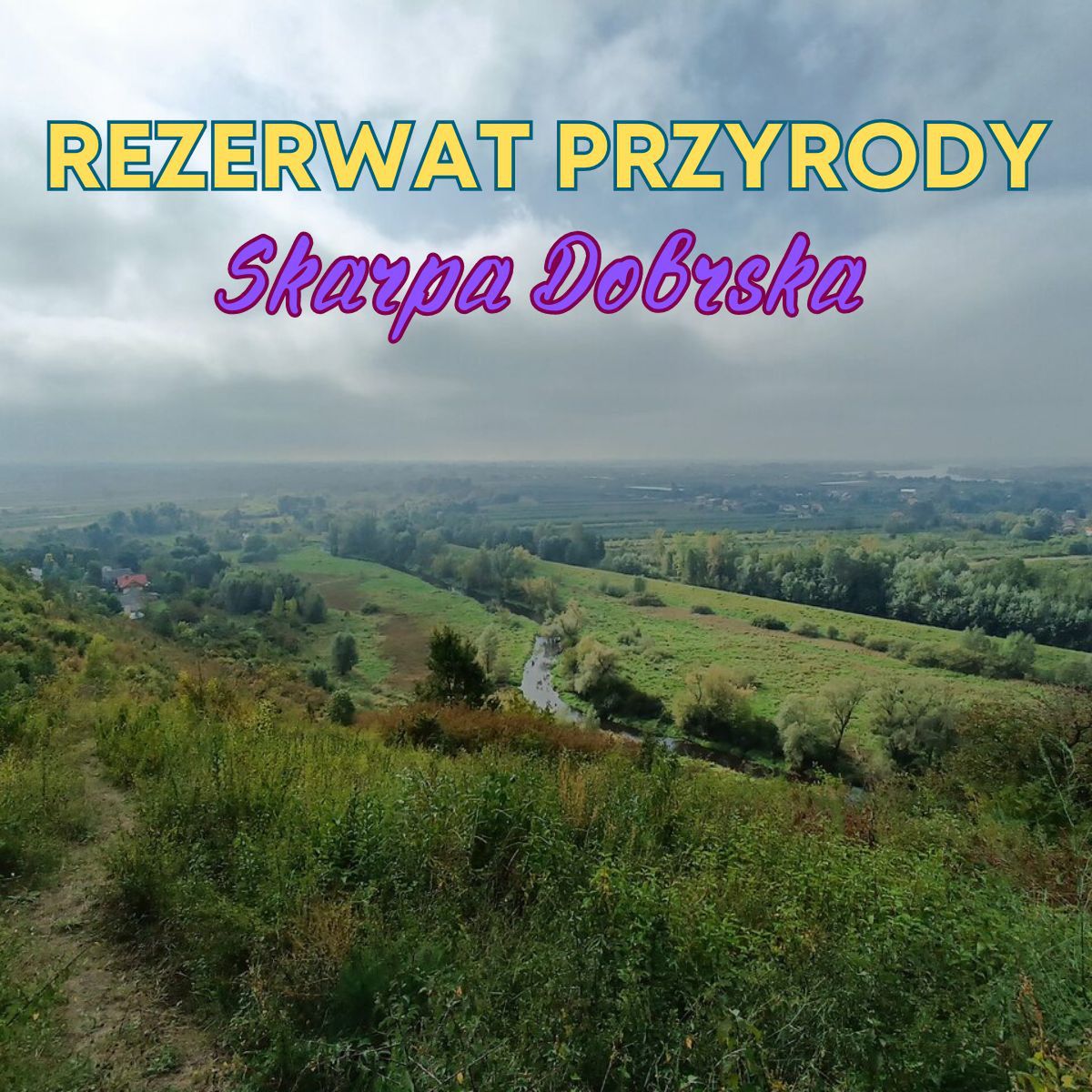 Rezerwat Przyrody Skarpa Dobrska