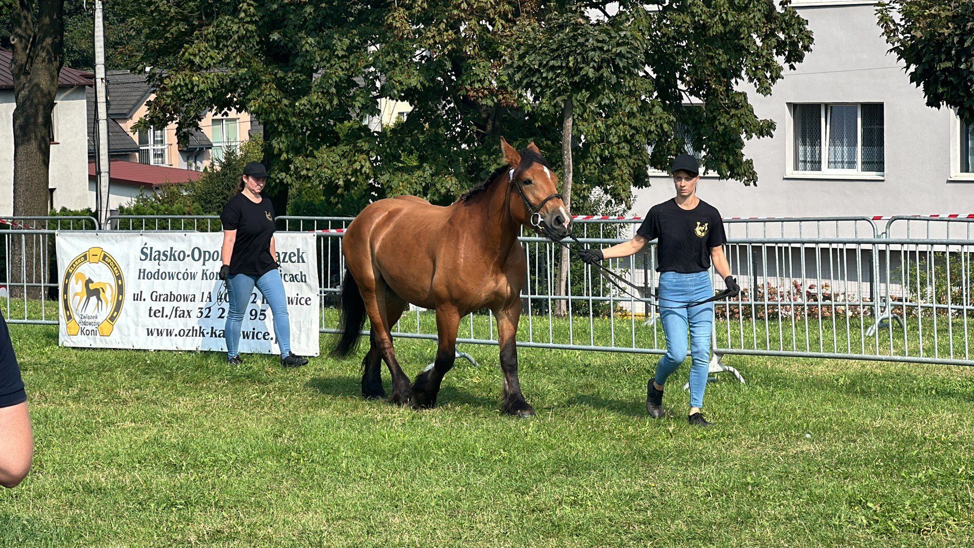 Krajowa Wystawa Rolnicza 2024