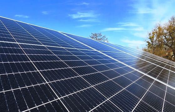 Wirtualna Polska zasilana wyłącznie zieloną energią. Większość z własnych farm