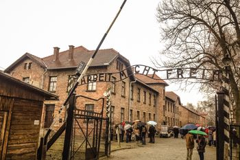 "Der Spiegel" pisze o pomocy dla ofiar nazizmu. "Niemcy są Polsce coś winni"
