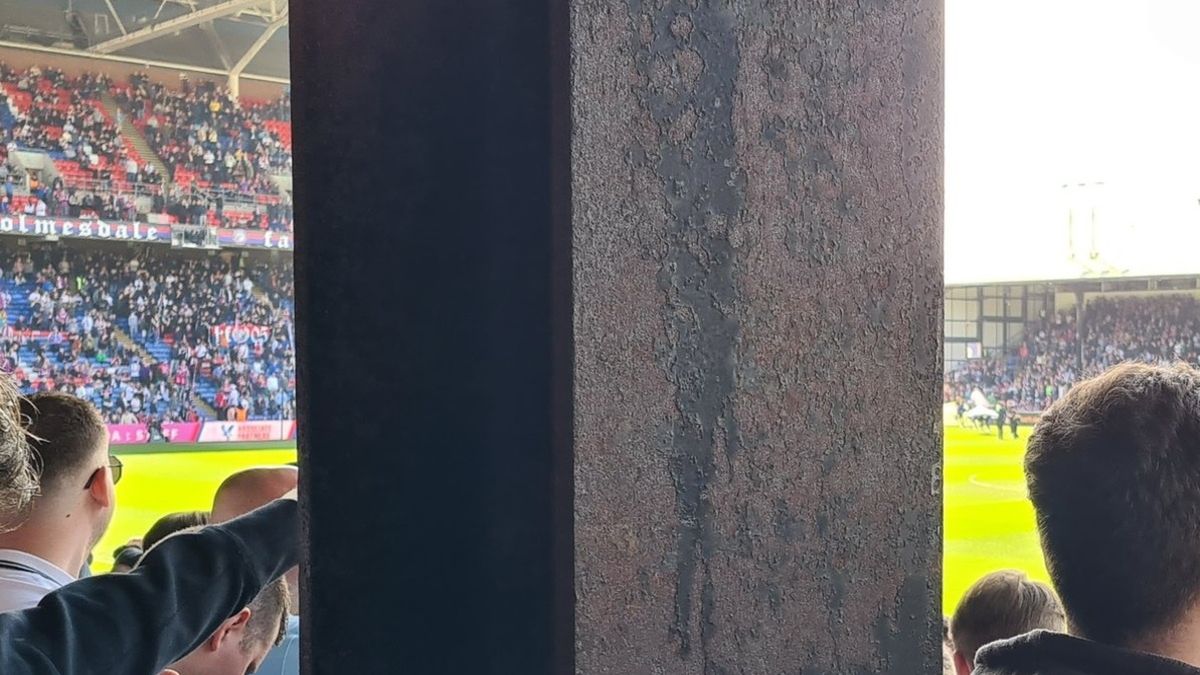 Zdjęcie fana ze stadionu Crystal Palace