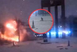 Trwał rosyjski atak na Lwów. Spójrzcie, co zrobił pracownik miejski