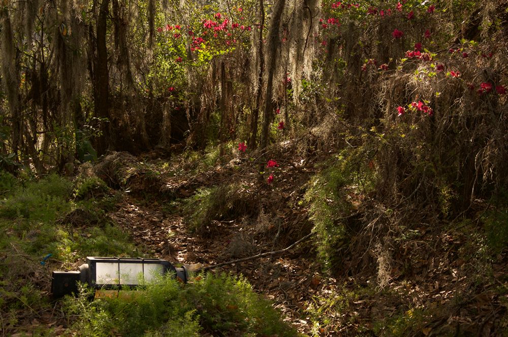 Czy opuszczony Disneyland wciąż może przypominać o dziecięcej radości? 15