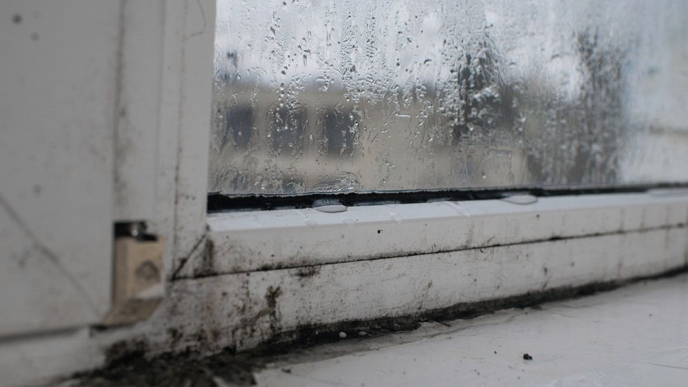 Jak poradzić sobie z wilgocią w mieszkaniu?