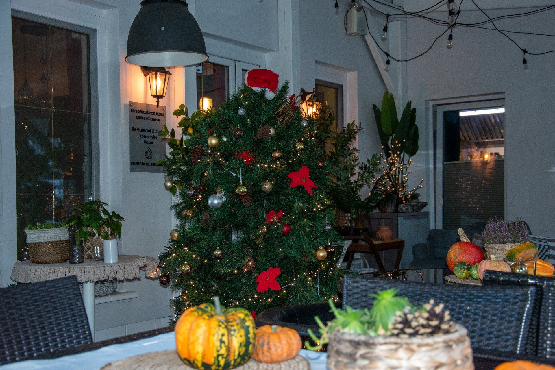 Park Solankowy w listopadzie